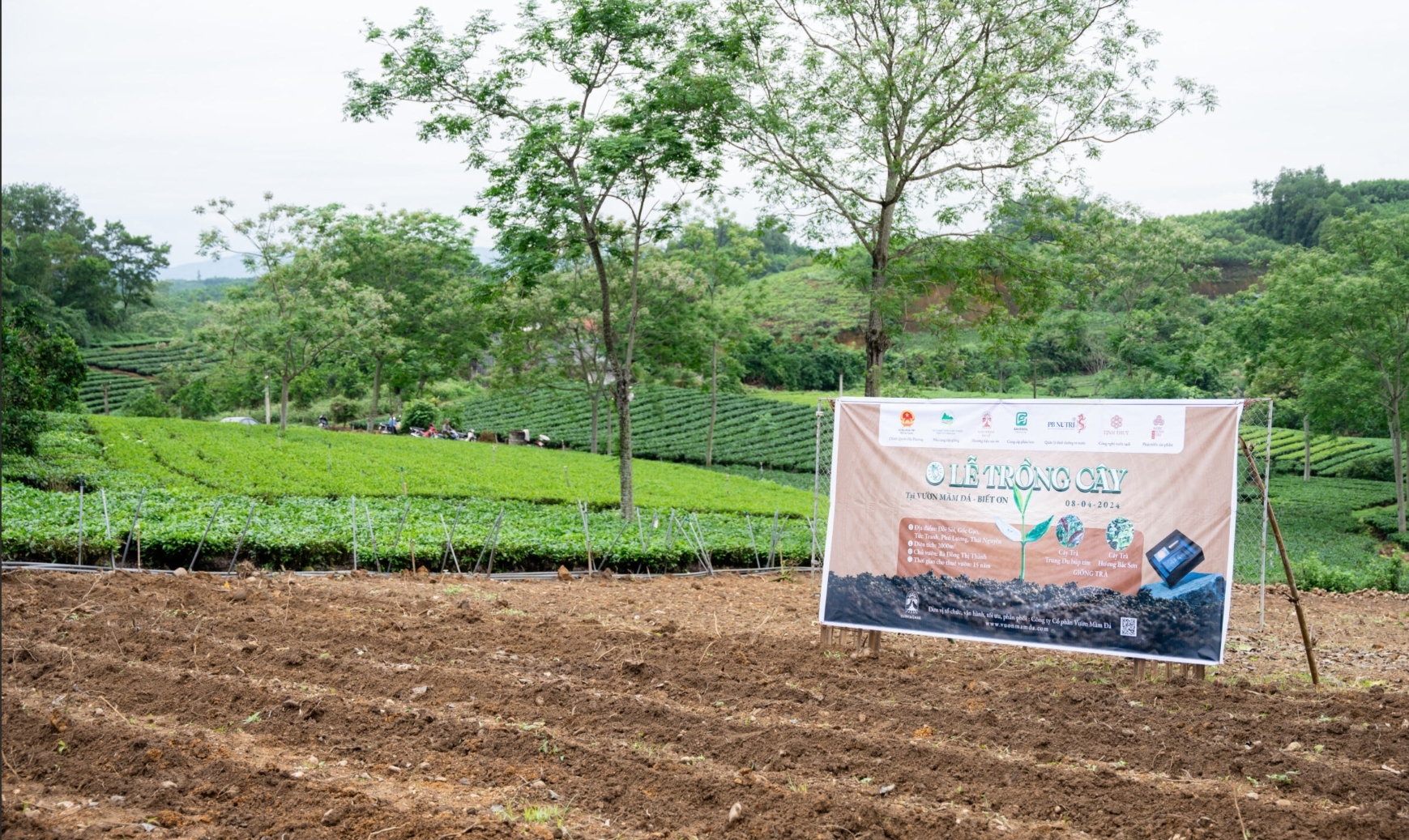 Lễ trồng Cây , cơ hội để thực hành sám hối và biết ơn.