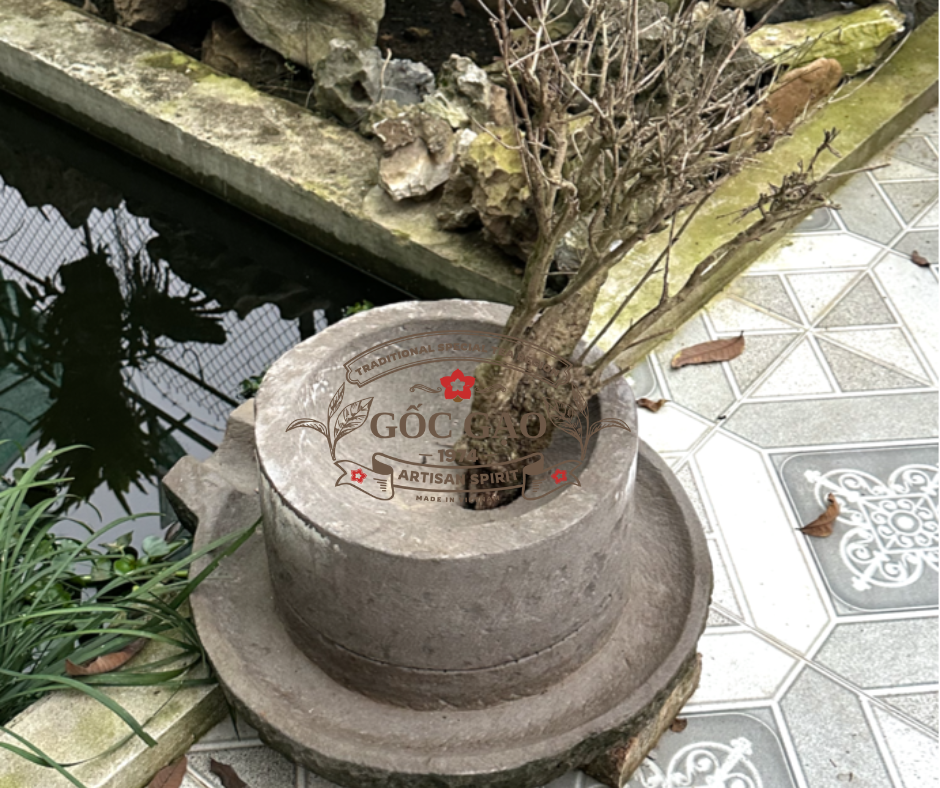 Trà là công cụ để quay vào bên trong